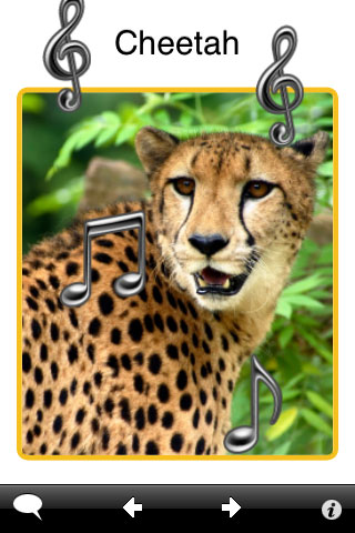 ABA Flash Cards - Zoo Animals free app screenshot 3