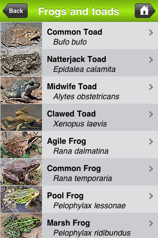 British Herps - Reptiles and Amphibians of the British Isles free app screenshot 2