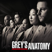 Grey's Anatomy, Season 7 artwork