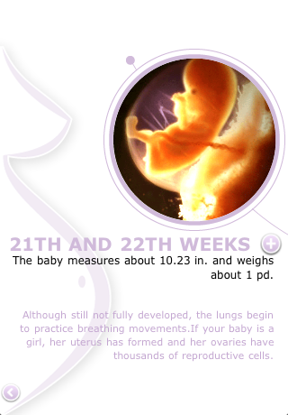 21Th Week Of Pregnancy Diet