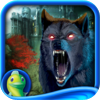 Grim Tales: La Malédiction des Gray Edition Collector HD
