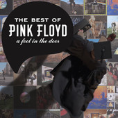 The Best of Pink Floyd: A Foot In the Door (Remastered), Pink Floyd