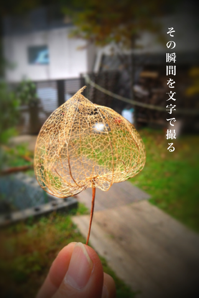 壁紙