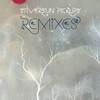 Silversun Pickups (Remixes) - EP, Silversun Pickups