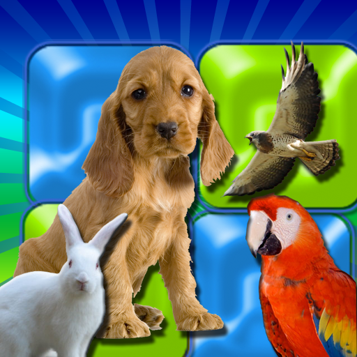 Kids Can Match - Animals , vocal memory game for children HD | iPhone