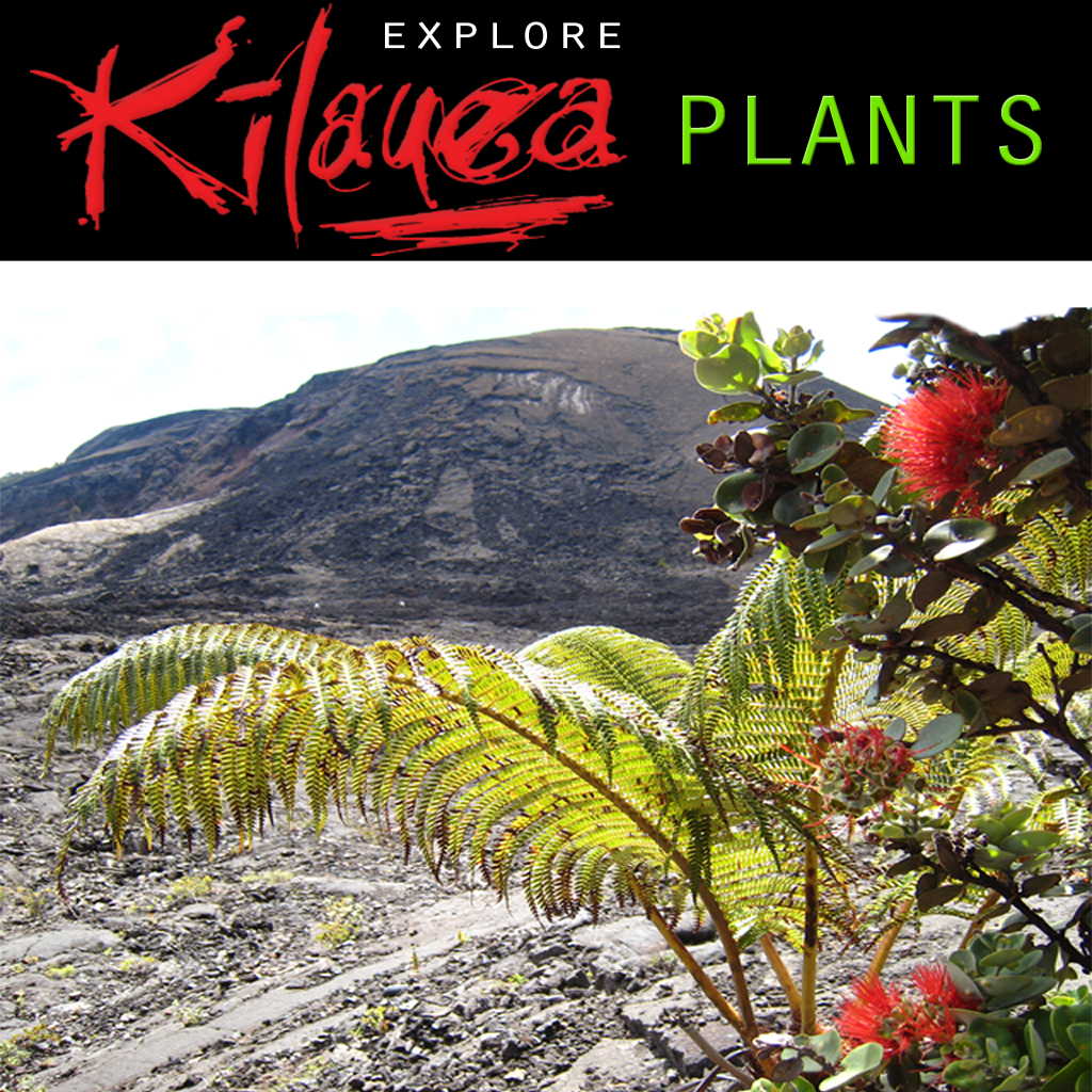 Explore Kilauea Volcano: Plants