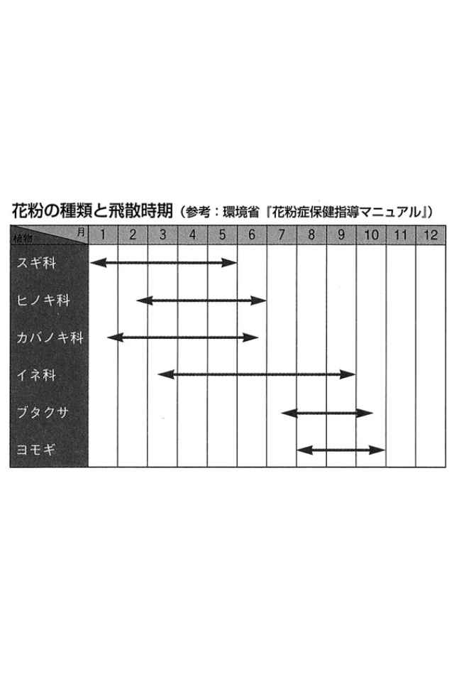 花粉症 甜茶で楽チン 撃退法