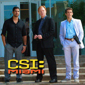 CSI: Miami, Season 10 artwork