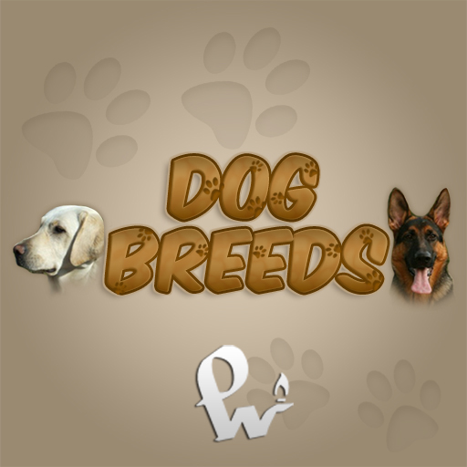 World+dog+breeds+photos