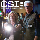 CSI: Crime Scene Investigation, Season 13artwork
