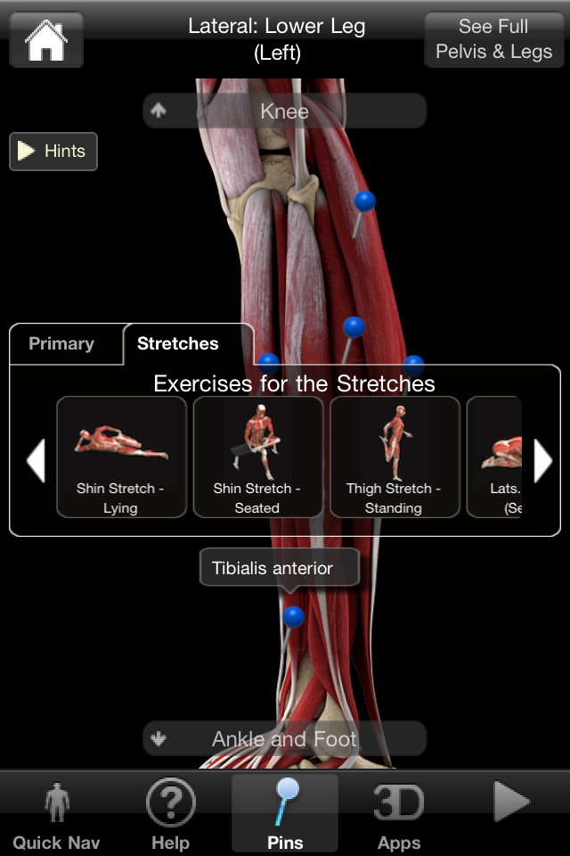 imuscle app iphone