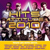 Hits Attitude 2010, Multi-interprètes