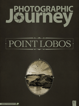 Photographic Journey LOGO-APP點子