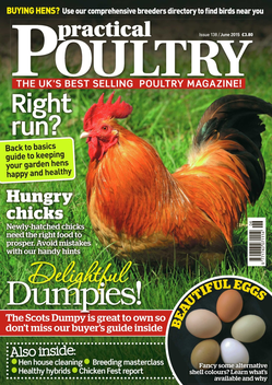 Practical Poultry - The Garden Hen Keeping Magazine LOGO-APP點子