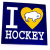The Hockey Chicks