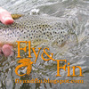 Fly and Fin