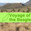 Voyage of the Beagle
