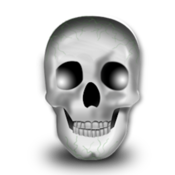 Anatomy Quiz