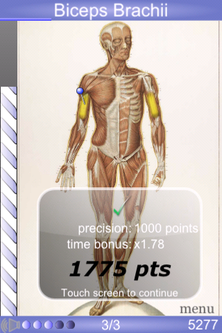 Speed Anatomy Lite (Quiz) free app screenshot 3