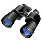 Binocular