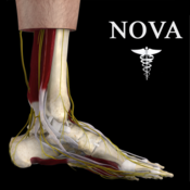 Ankle & Foot Pro III