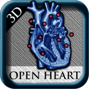 Open Heart 3D