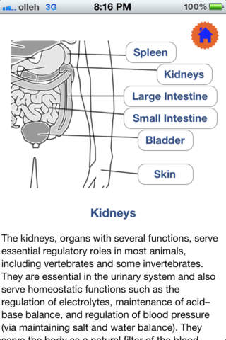 Human Body Organs screenshot 3