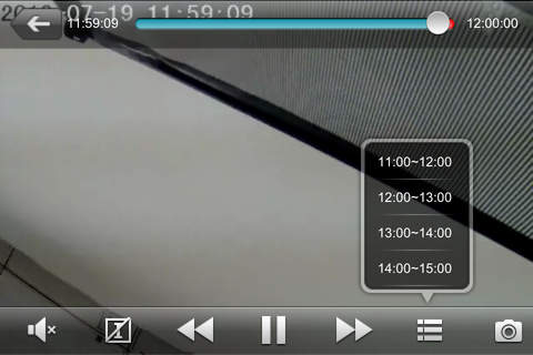 Скриншот из NVR-Inview