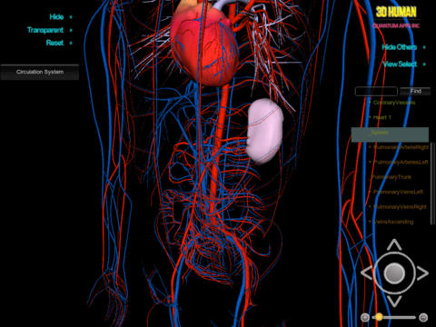 3D Human Circulation System_HD screenshot 3