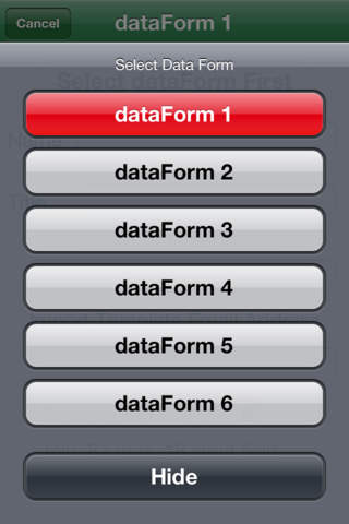 dataform screenshot 3