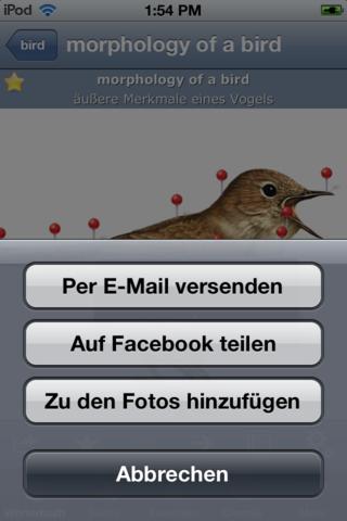 iPhone Screenshot 5