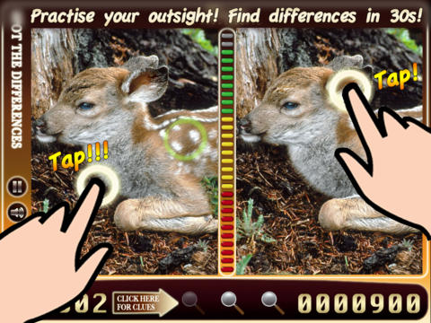 Spot The Difference HD - animals screenshot 3