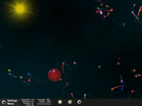iPad Screenshot 4