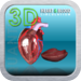 3D Heart and Blood Circulation