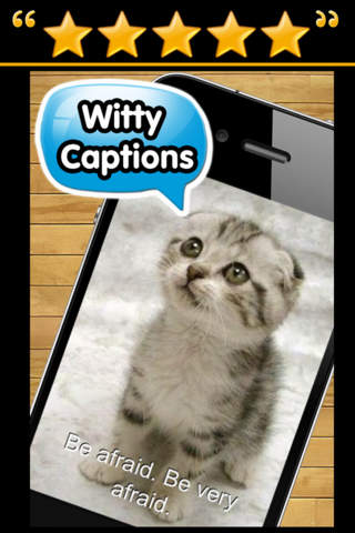 iPhone Screenshot 2