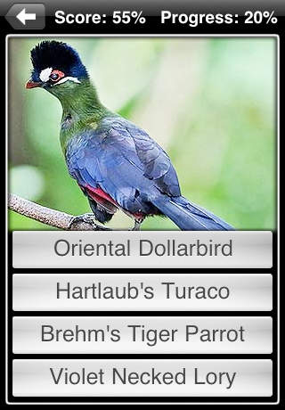 【免費教育App】Exotic Tropical Birds & Parrots-APP點子