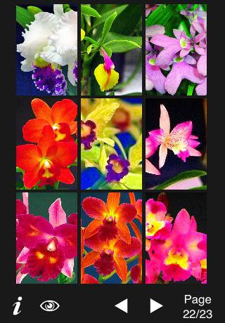 Orchid Wallpaper Lite screenshot 2