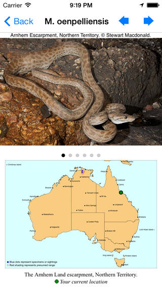 免費下載教育APP|Snakes of Australia app開箱文|APP開箱王