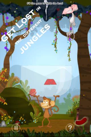 iPhone Screenshot 1