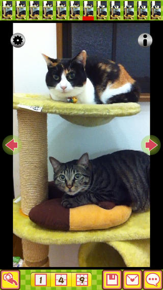 【免費攝影App】KittyCam (Take brilliant cat pictures)-APP點子