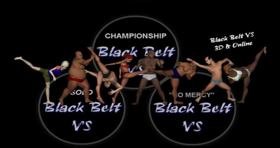 Black Belt VS 3D online fighting