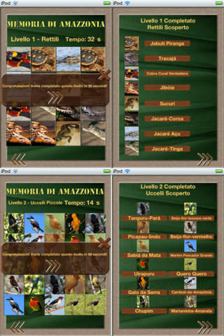 Memória Amazônica screenshot 4