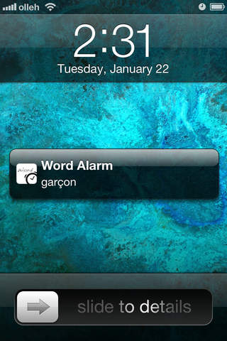 Word Alarm screenshot 4