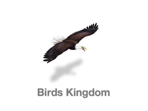Birds Kingdom Free screenshot 4