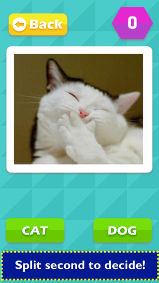 【免費遊戲App】TicToc Pic: Cat or Dog Edition - Reaction Test Game-APP點子