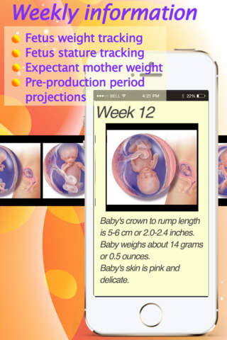 Pregnancy Calendar - Lite - weekly information screenshot 2