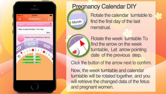 Pregnancy Calendar - Lite - weekly information