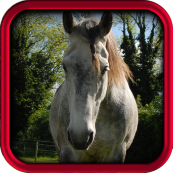 Horse Quotes - Horsemanship Sayings for Equestrians 教育 App LOGO-APP開箱王