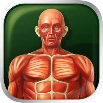 Human Anatomy 3D Bones And Muscles GOLD LOGO-APP點子