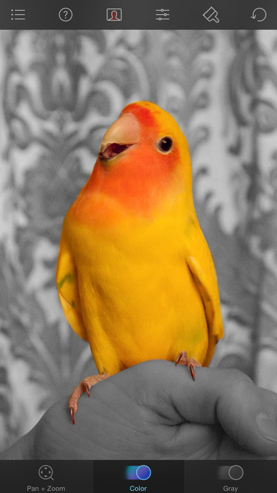 Captura de pantalla del iPhone 4